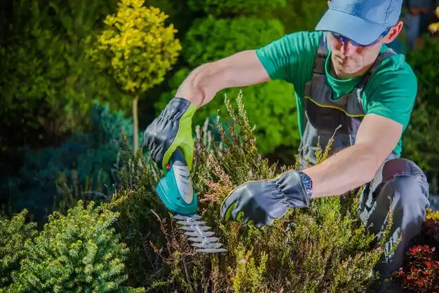 landscaping services Edmore